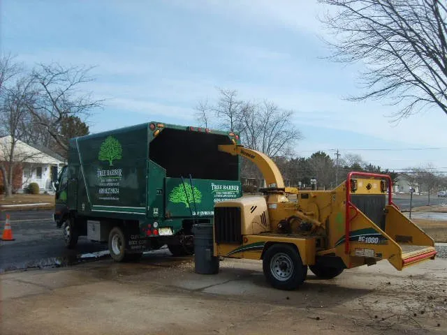 Top-rated lawn care service in Cape May, NJ - The Tree Barber