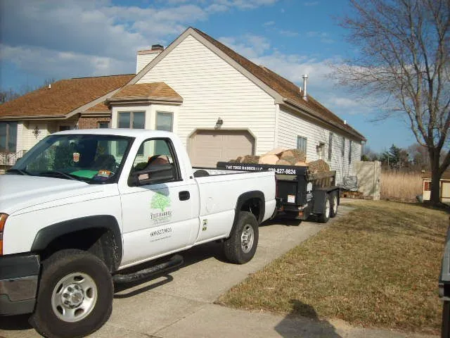 Top-rated landscape installation in Cape May, NJ - The Tree Barber