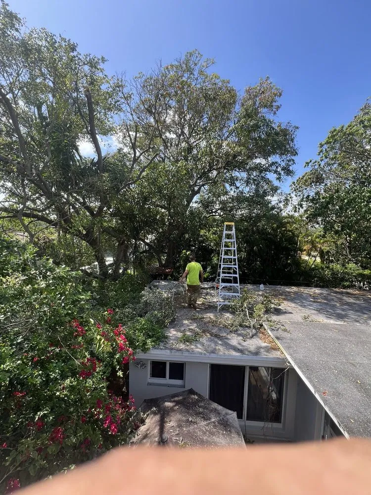 Affordable landscape design for outdoor upgrades across Davie, FL - The Tree Barber