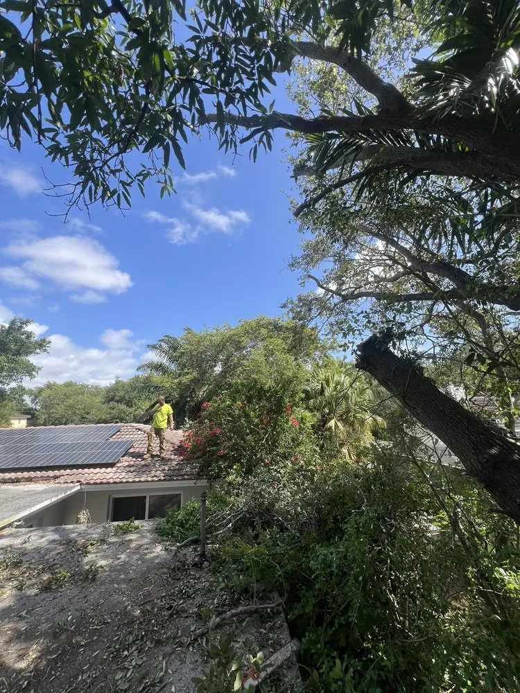 Custom outdoor landscaping in Davie, FL - The Tree Barber