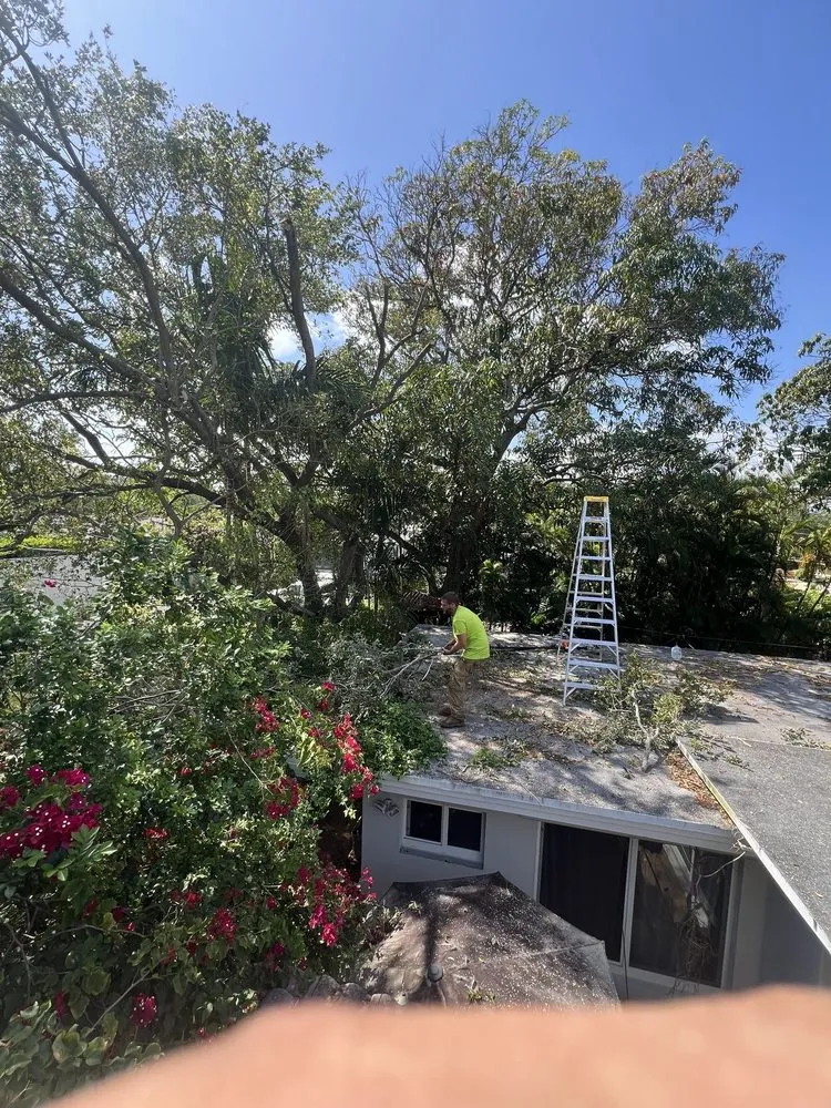 Custom landscape design in Davie, FL - The Tree Barber