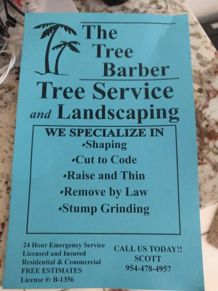 Professional yard cleanup service in Davie, FL by The Tree Barber