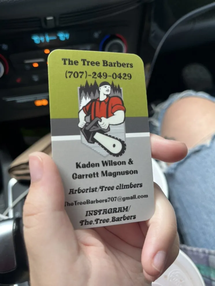 Expert yard cleanup service in Centralia, WA - The Tree Barbers