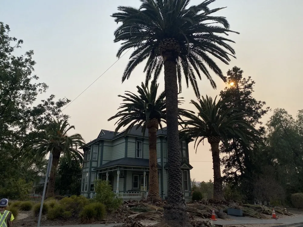 Affordable landscape installation in Centralia, WA - The Tree Barbers