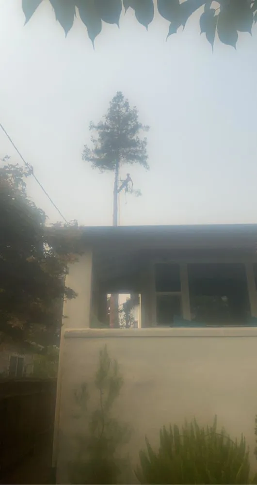 Expert landscape installation in Centralia, WA by The Tree Barbers