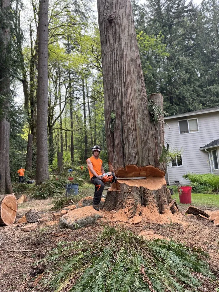 Custom garden landscaping in Centralia, WA by The Tree Barbers