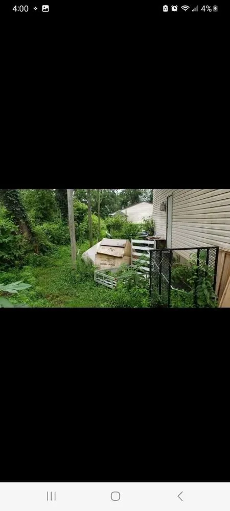 Top-rated landscape installation for outdoor upgrades across Knox, IN - The Tree Guy 4 Hire