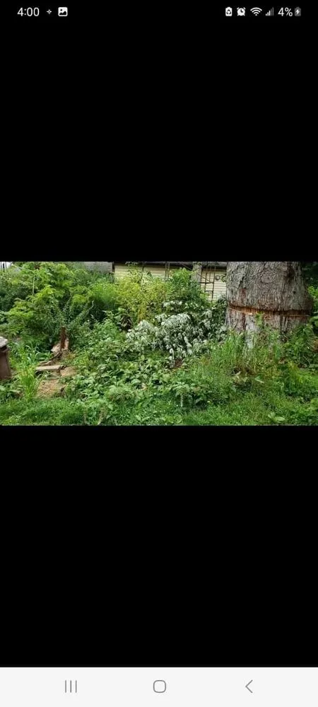 Local residential landscaping in Knox, IN by The Tree Guy 4 Hire