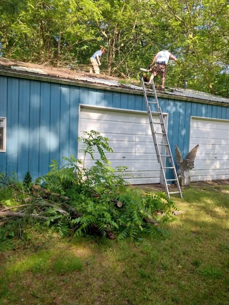 Professional garden landscaping with custom design across Knox, IN - The Tree Guy 4 Hire