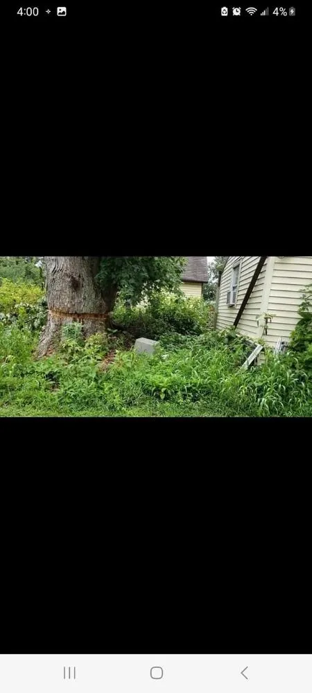 Expert landscape installation in Knox, IN - The Tree Guy 4 Hire