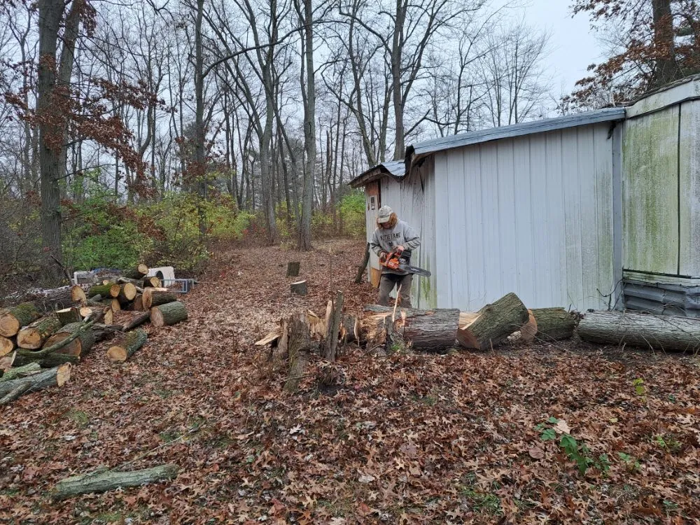 Professional yard cleanup service with custom design in Knox, IN by The Tree Guy 4 Hire