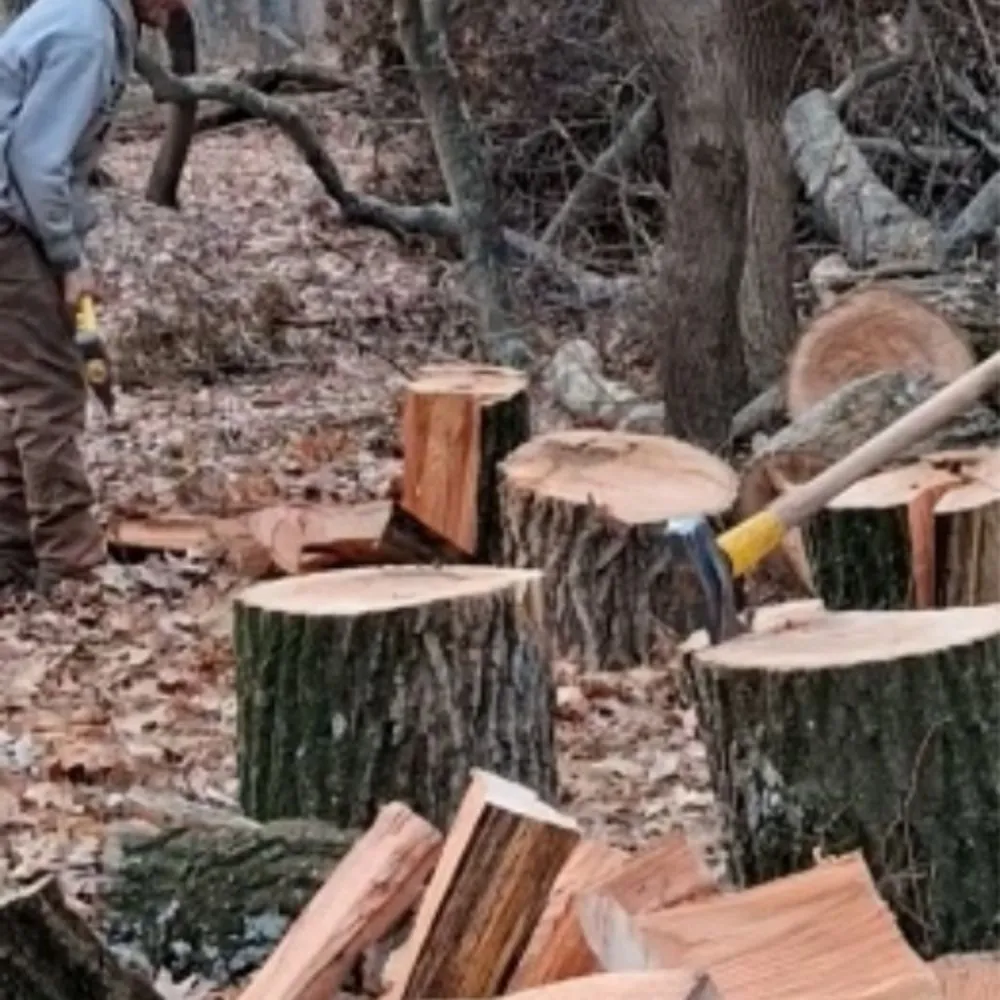 Professional lawn care service near you across Knox, IN - The Tree Guy 4 Hire