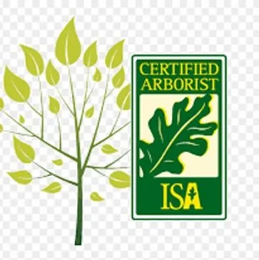 Expert landscape design with custom design across Laporte, IN - The Tree Guy 4 Hire