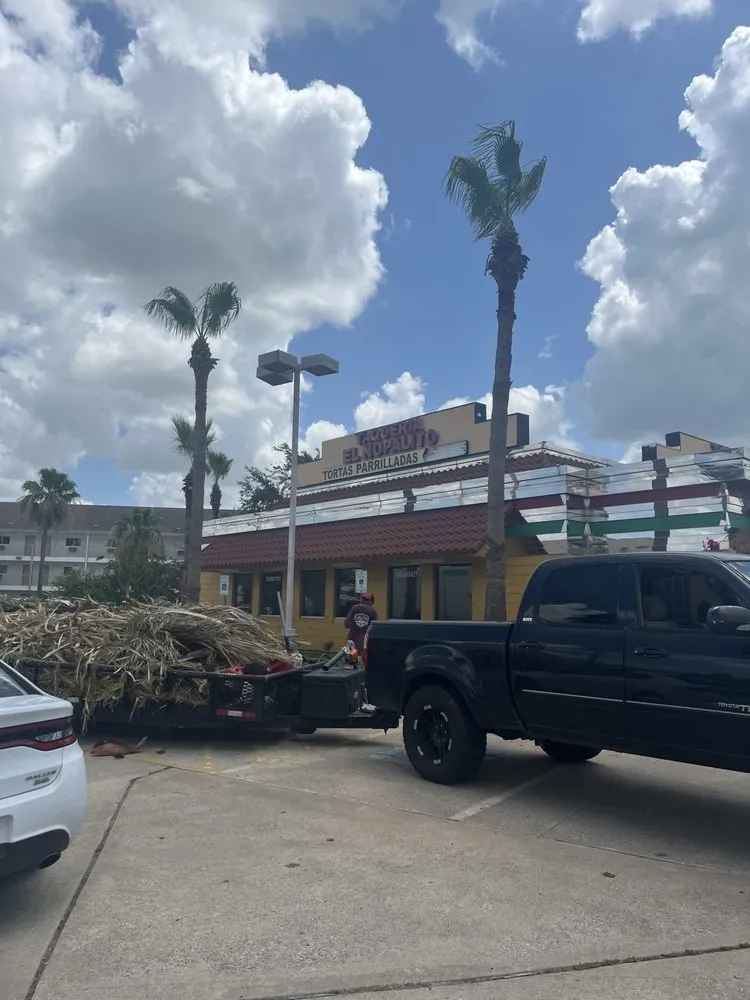Local lawn care service in Baytown, TX by The Tree Guy