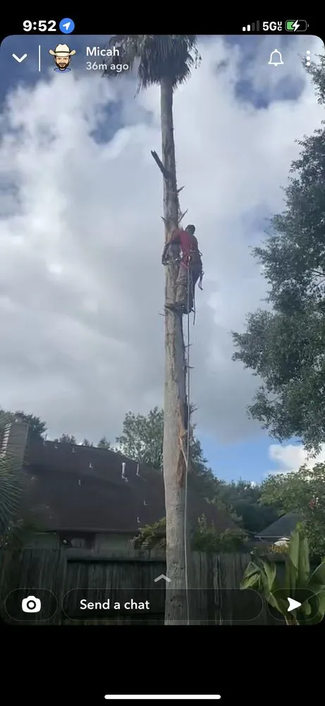 Professional landscape installation experts serving Baytown, TX - The Tree Guy