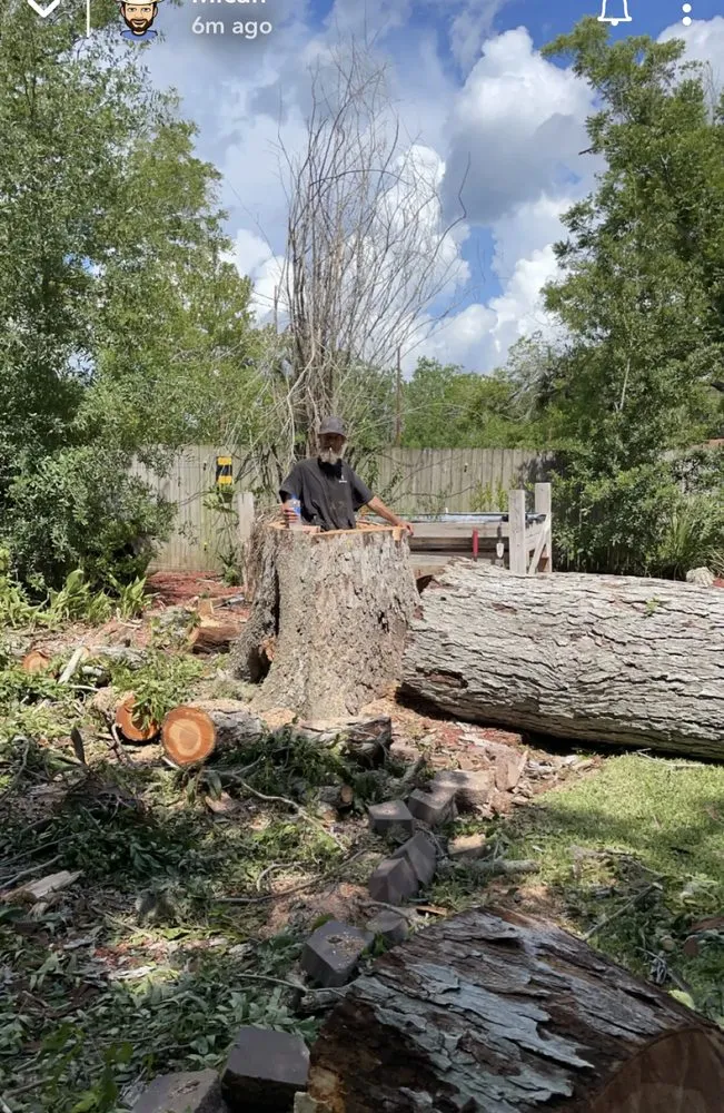 Affordable residential landscaping for year-round maintenance in Baytown, TX by The Tree Guy