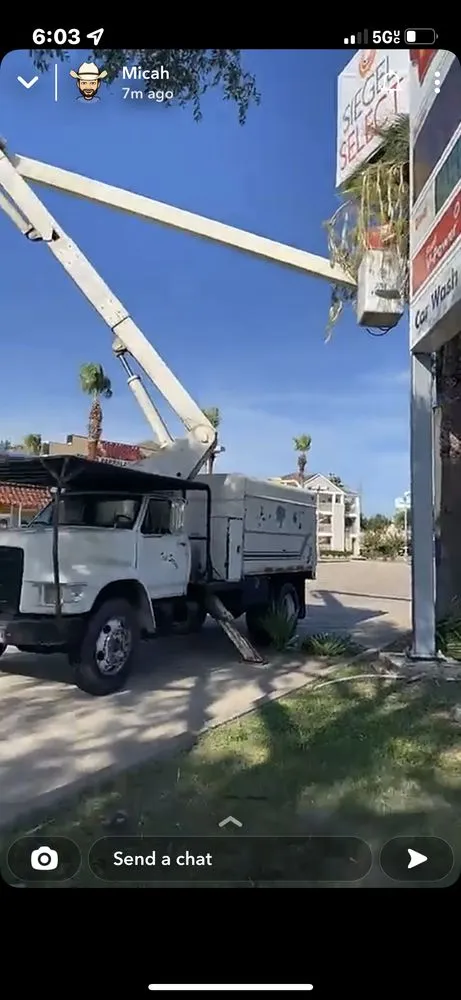 Affordable lawn care service for beautiful yards in Baytown, TX by The Tree Guy