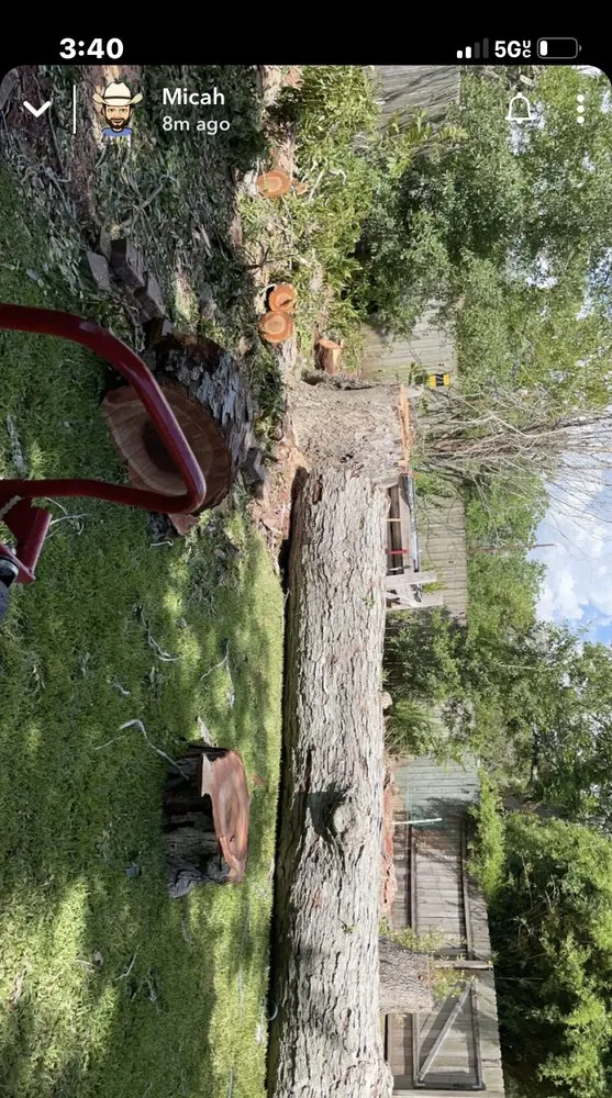 Reliable outdoor landscaping in Baytown, TX - The Tree Guy