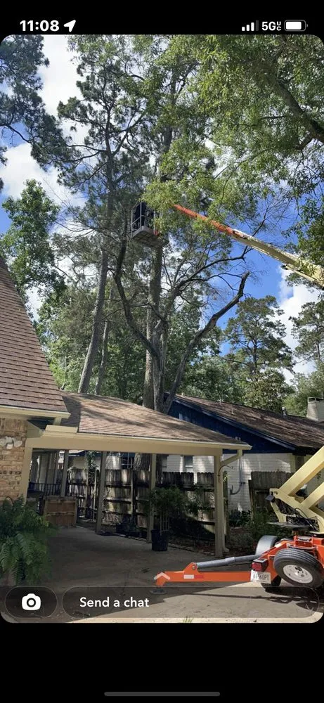 Expert lawn mowing service in Baytown, TX - The Tree Guy