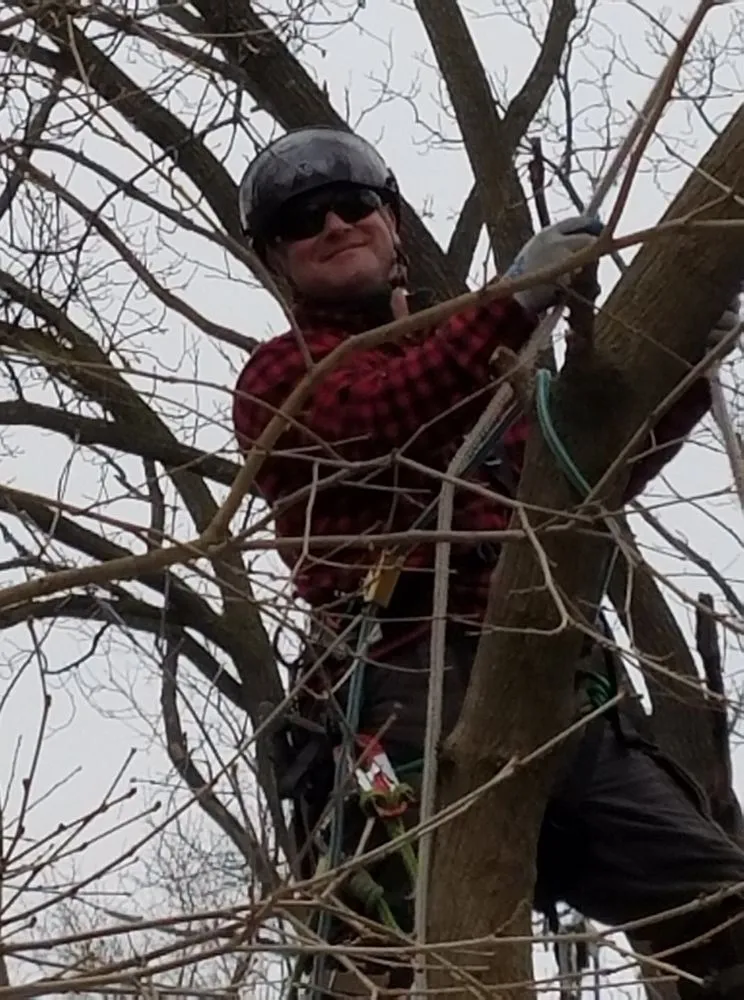 Custom yard cleanup service in Clio, MI by The Tree Guy