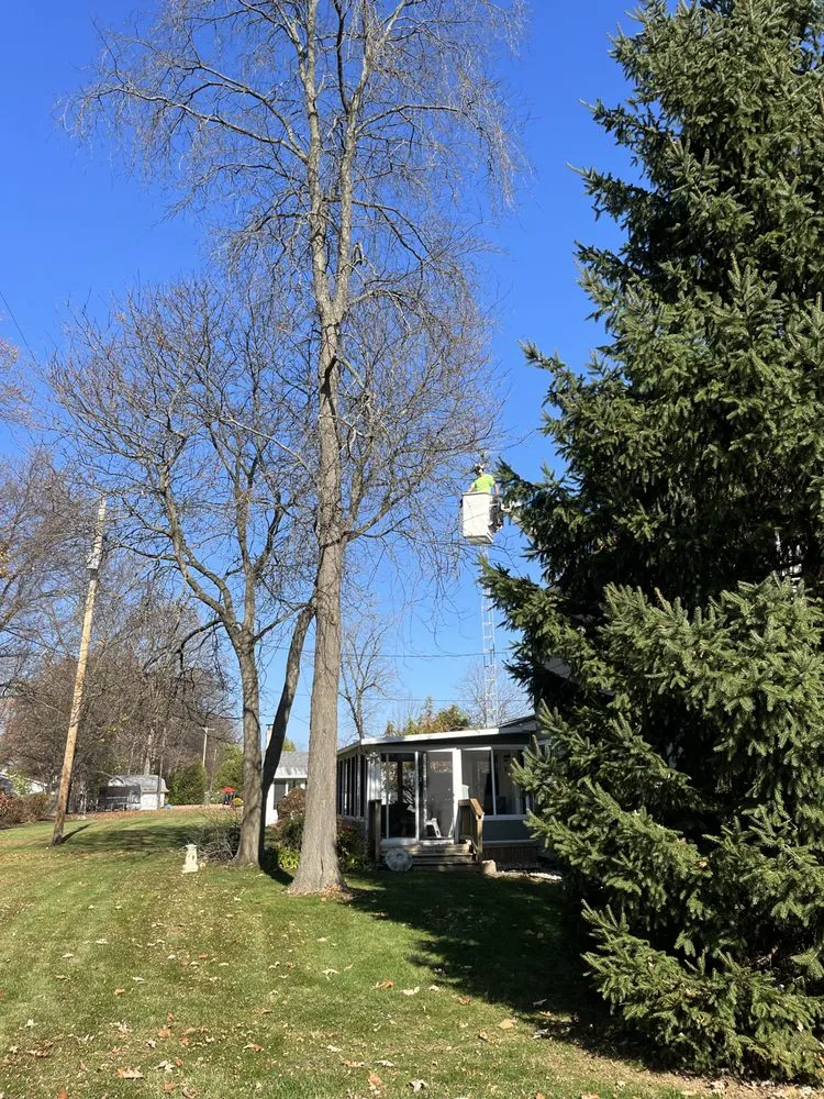 Affordable lawn care service in Clio, MI - The Tree Guy