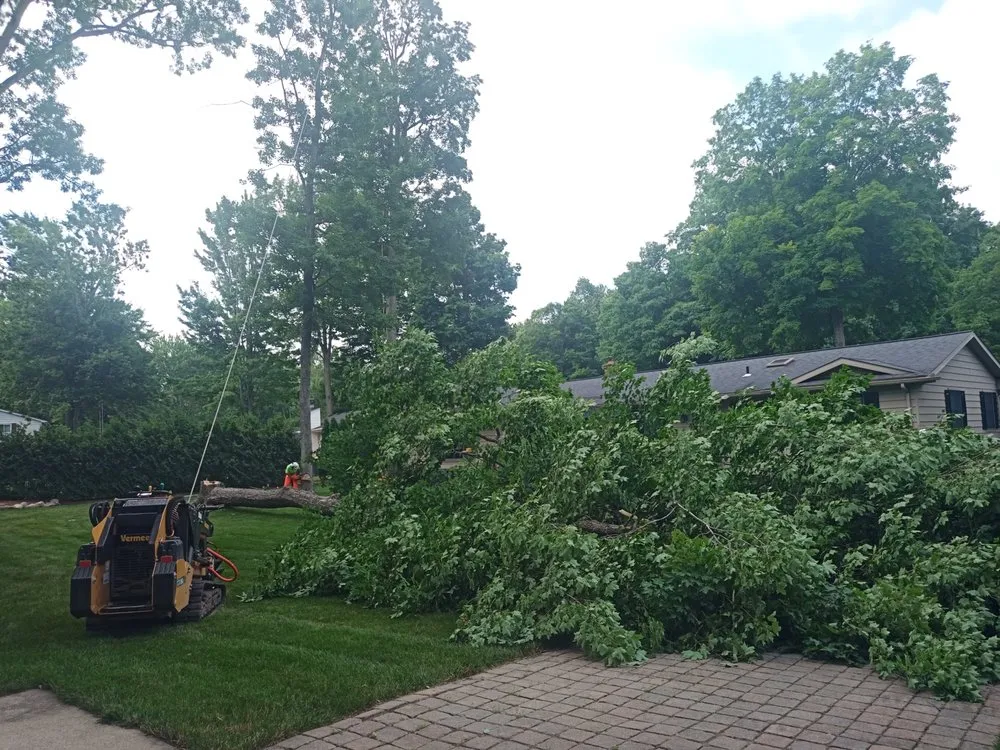 Custom outdoor landscaping for year-round maintenance in Clio, MI by The Tree Guy