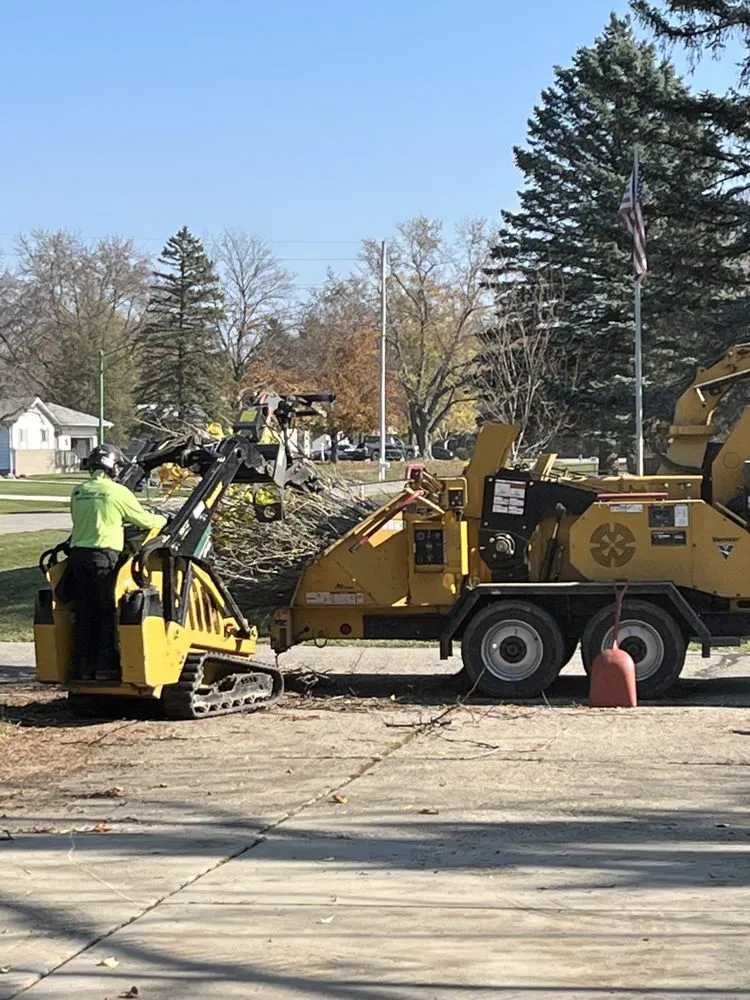Professional outdoor landscaping for homes in Clio, MI by The Tree Guy