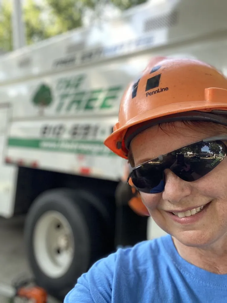 Top-rated lawn mowing service for year-round maintenance in Clio, MI by The Tree Guy