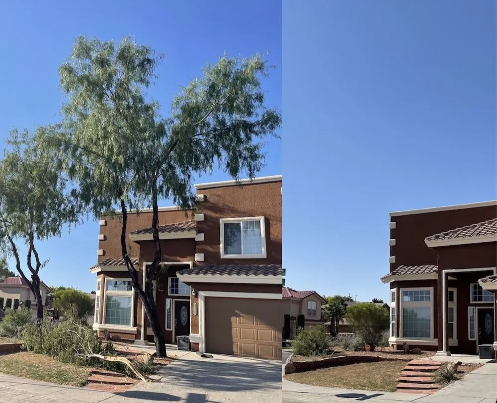 Local landscape installation in El Paso, TX - The Tree Guy