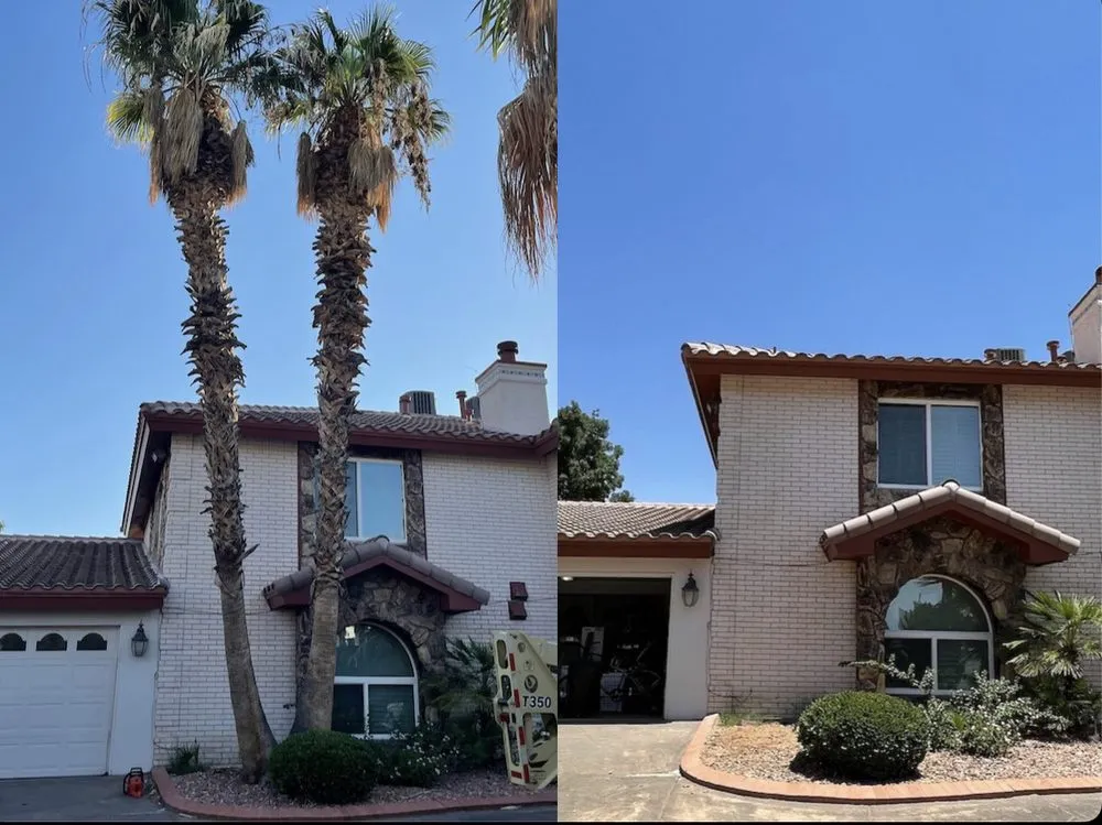 Expert landscape installation in El Paso, TX - The Tree Guy