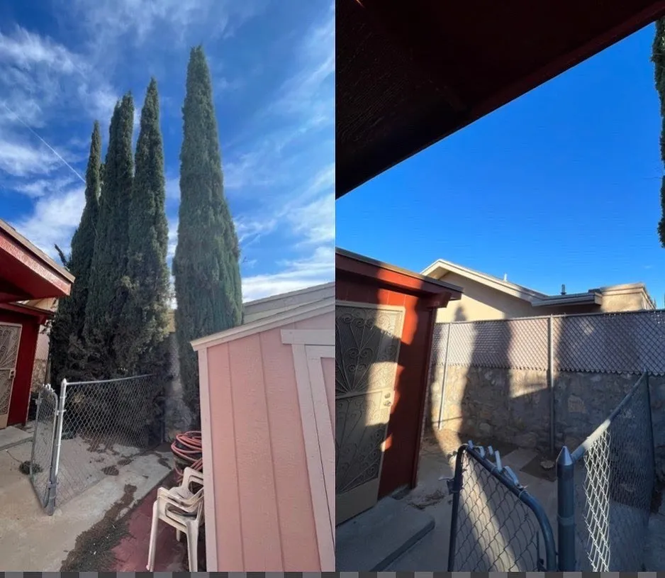 Custom landscape installation near you across El Paso, TX - The Tree Guy