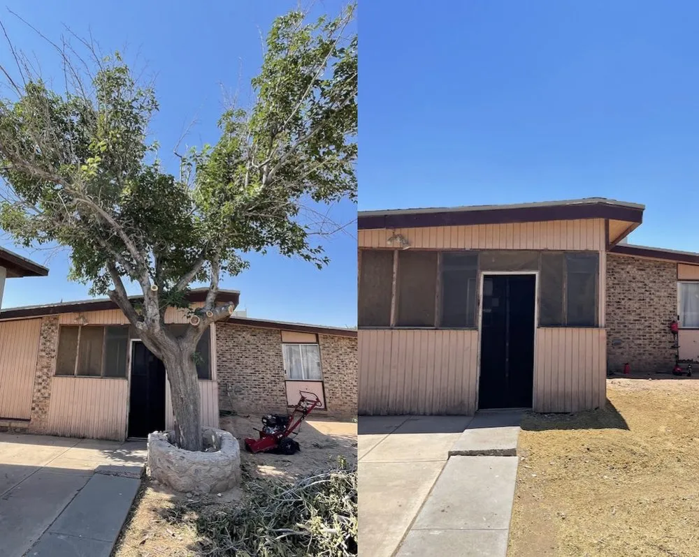 Trusted landscaping services experts serving El Paso, TX - The Tree Guy