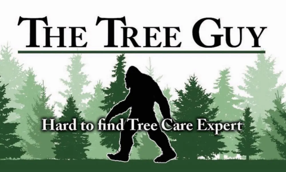 Trusted landscape design for year-round maintenance across El Paso, TX - The Tree Guy