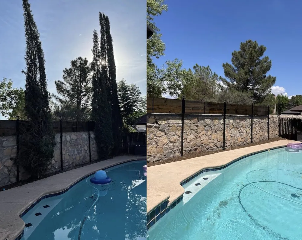 Affordable residential landscaping experts serving El Paso, TX - The Tree Guy