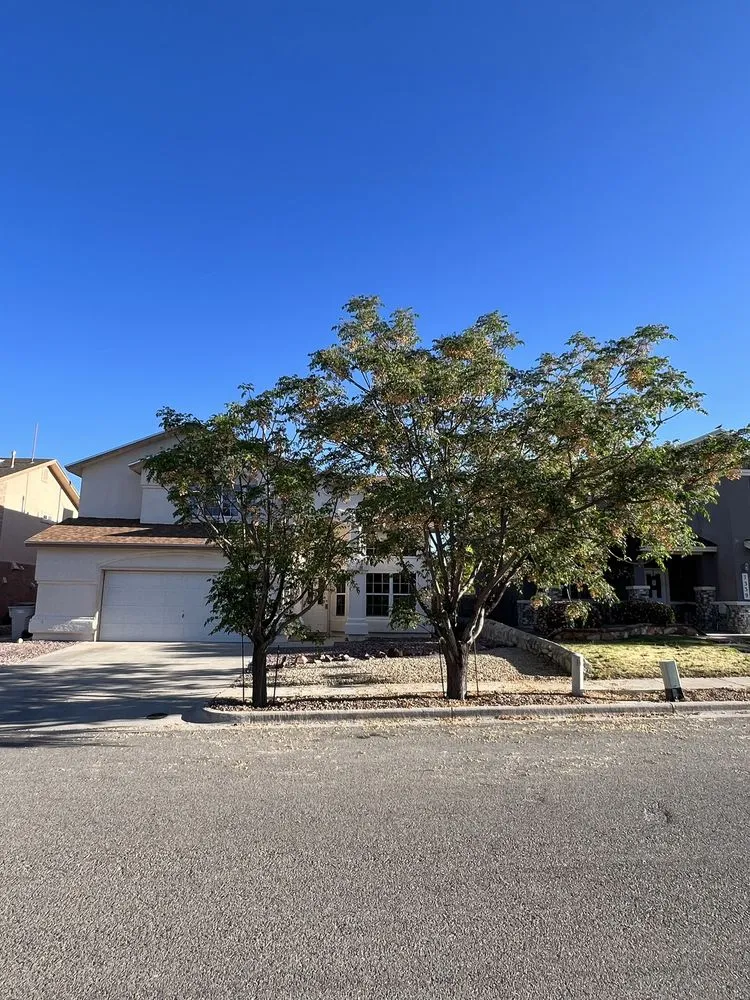 Trusted outdoor landscaping in El Paso, TX - The Tree Guy