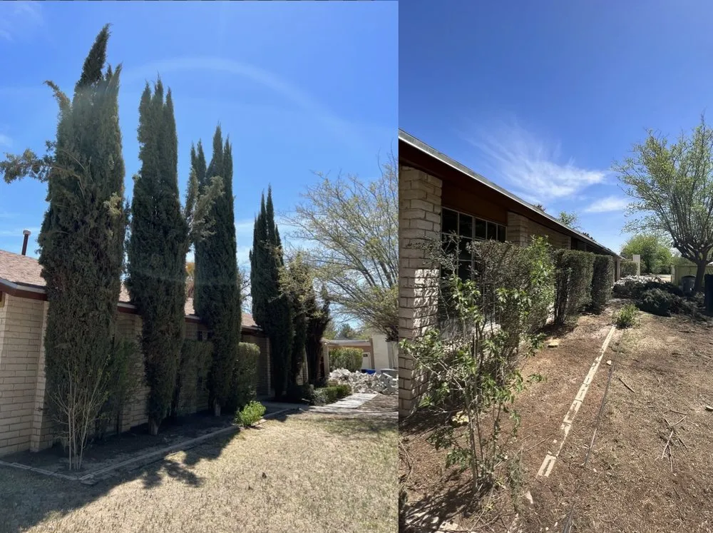 Top-rated lawn mowing service for homes across El Paso, TX - The Tree Guy