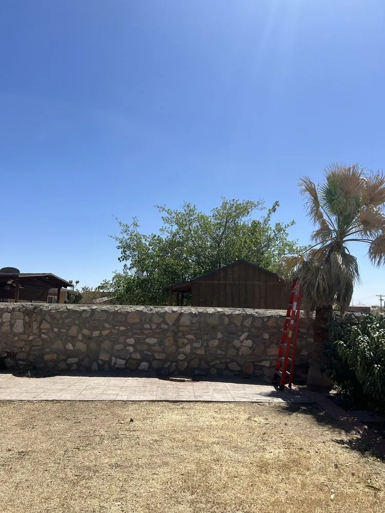 Professional landscape installation for year-round maintenance across El Paso, TX - The Tree Guy