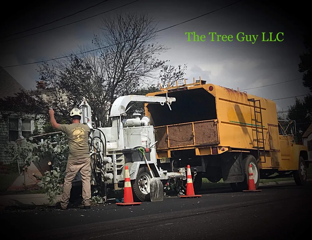 Trusted yard cleanup service in Hamilton Township, NJ by The Tree Guy