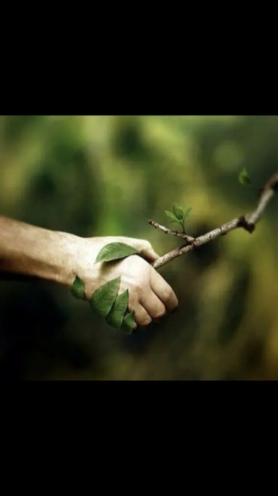 Professional yard cleanup service with custom design across Hamilton Township, NJ - The Tree Guy