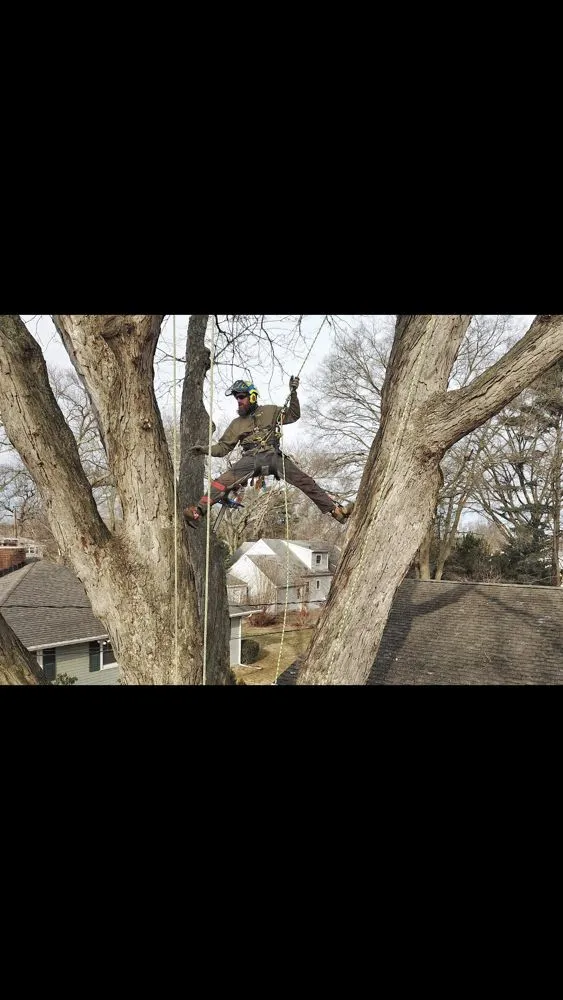Custom garden landscaping experts serving Hamilton Township, NJ - The Tree Guy