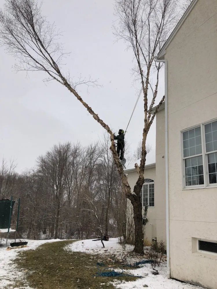 Top-rated landscape design experts serving Hamilton Township, NJ - The Tree Guy