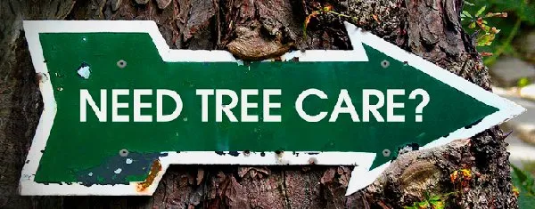 Reliable residential landscaping experts serving Hamilton Township, NJ - The Tree Guy