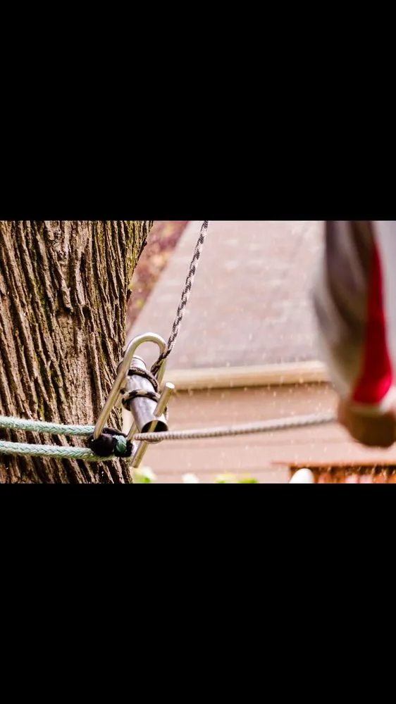 Local lawn mowing service experts serving Hamilton Township, NJ - The Tree Guy