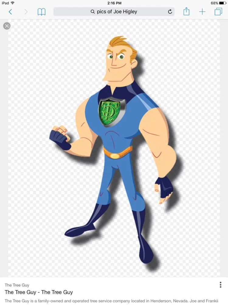 Custom landscaping services for residential properties across Henderson, NV - The Tree Guy