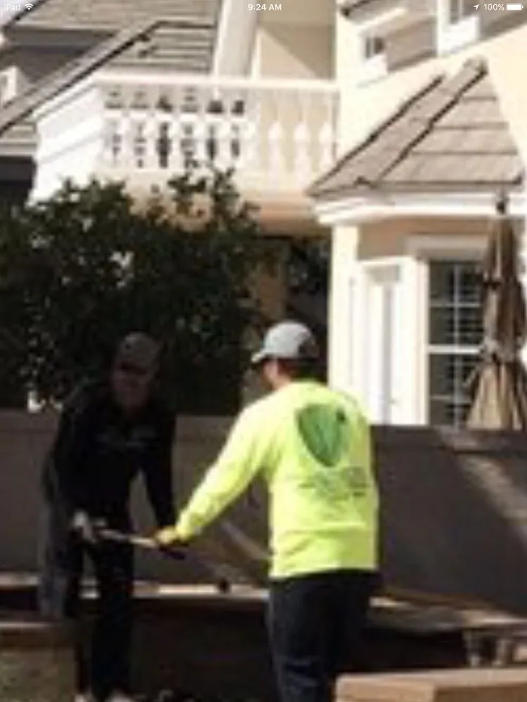 Top-rated yard maintenance in Henderson, NV by The Tree Guy