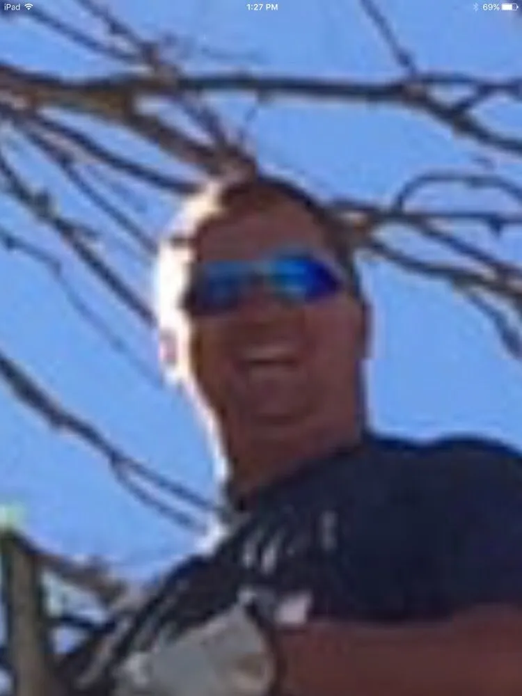 Expert yard maintenance in Henderson, NV by The Tree Guy