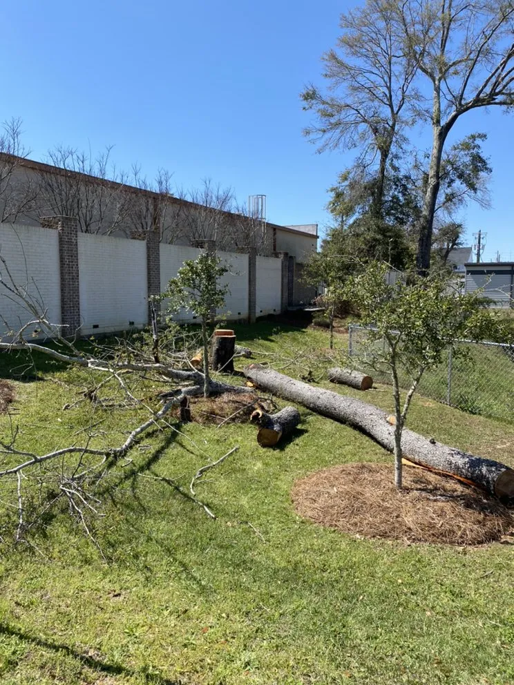 Local lawn care service for beautiful yards across Pensacola, FL - The Tree Guy