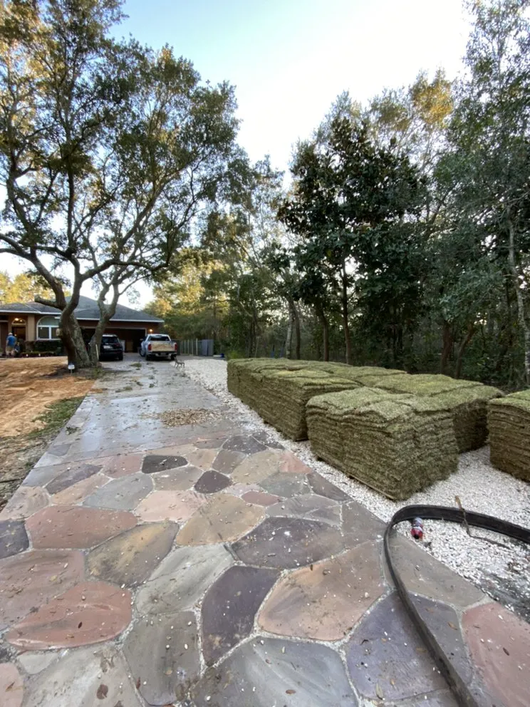 Reliable outdoor landscaping for year-round maintenance in Pensacola, FL by The Tree Guy