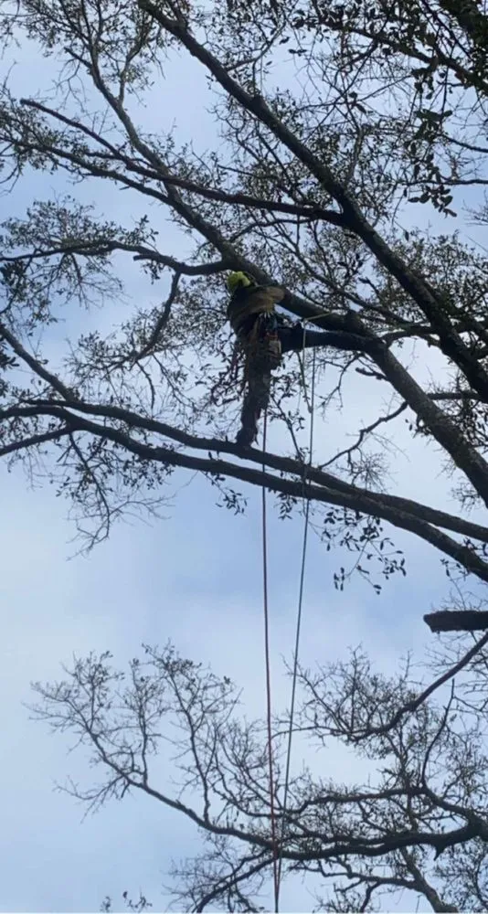 Local garden landscaping for residential properties in Pensacola, FL by The Tree Guy