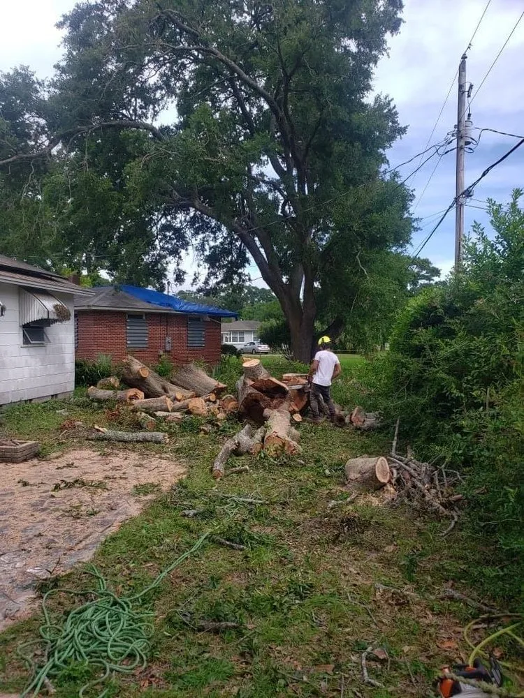 Top-rated lawn mowing service for beautiful yards across Pensacola, FL - The Tree Guy